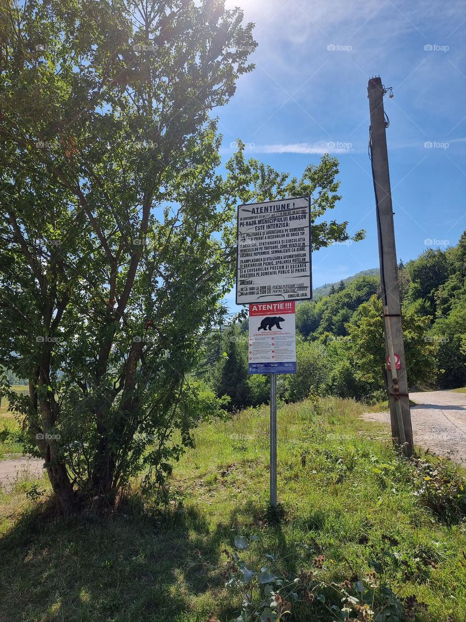 Sign warning against bears in Romania