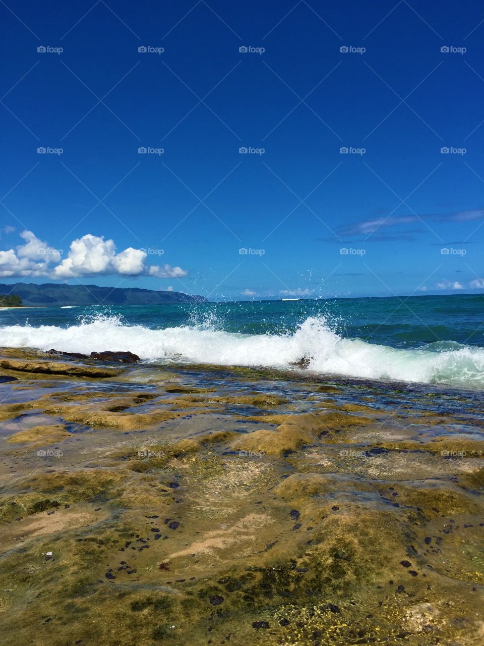 Scenic view of idyllic beach