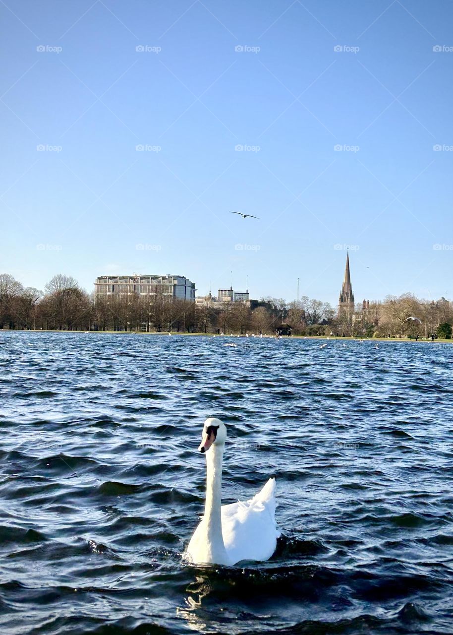 Hide Park , London 2023 . 