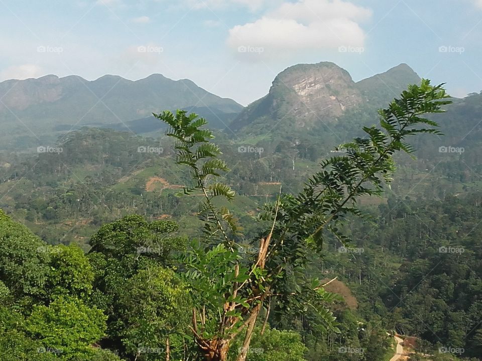 view of the Knuckles hills in Sri Lanka