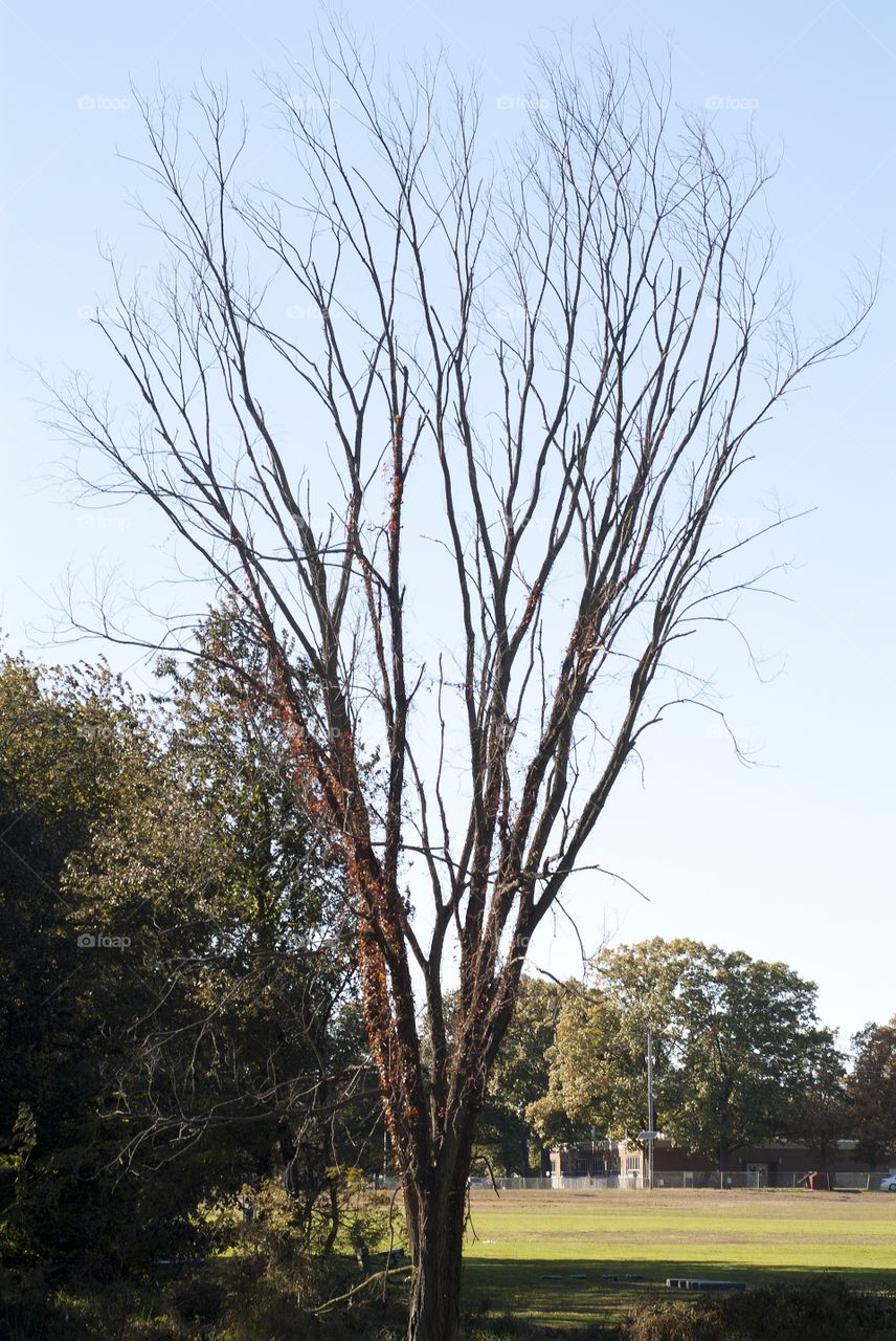 Spring Lake park in South Plainfield, New Jersey