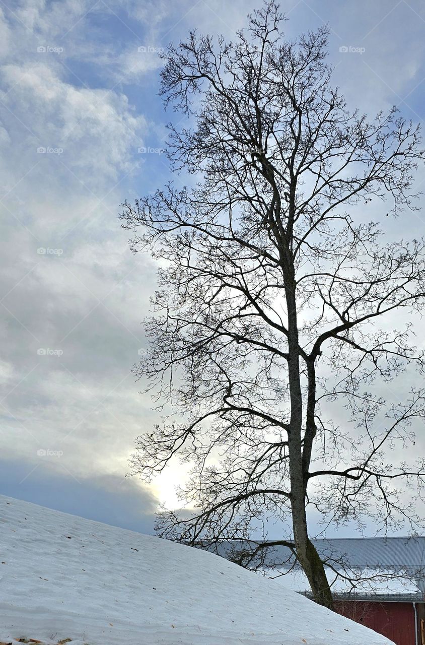 paysage de neige à Oslo