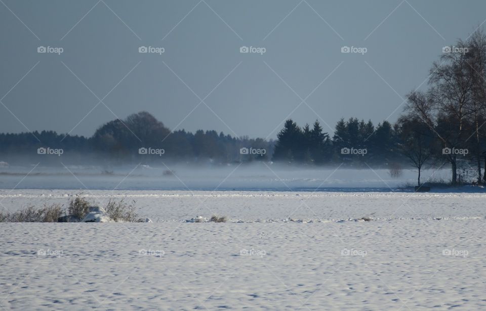 Foggy winter day 