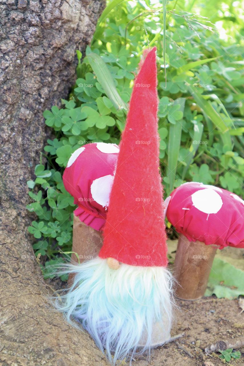 The magical secrets of the forest