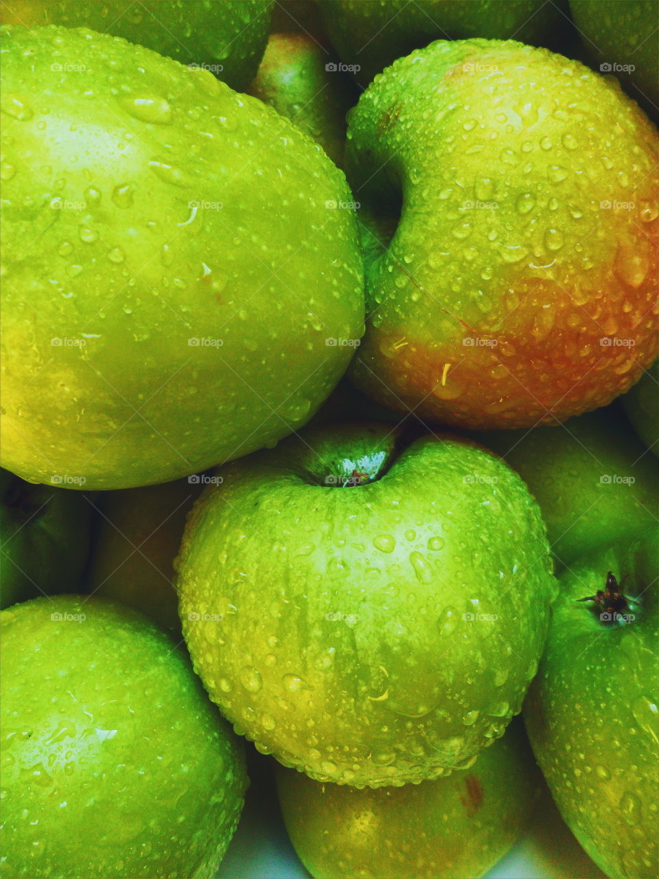 drops of water on green apple varieties of simirenko