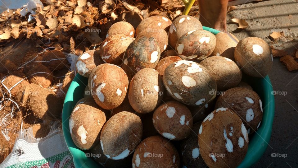 Cascas e, deliciosas castanhas naturais, com agua de coco.