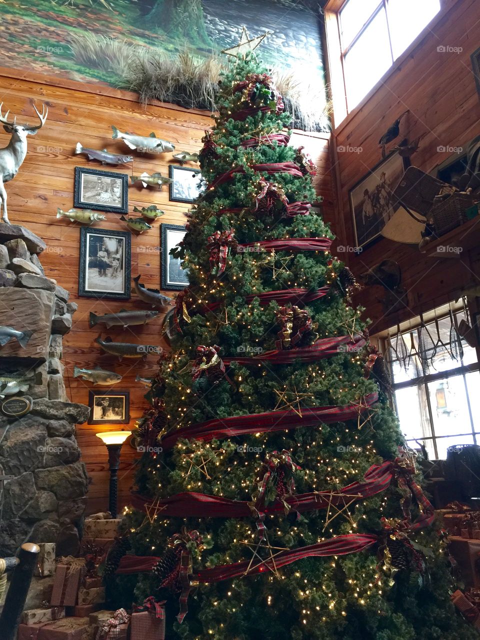  Cabin Christmas tree