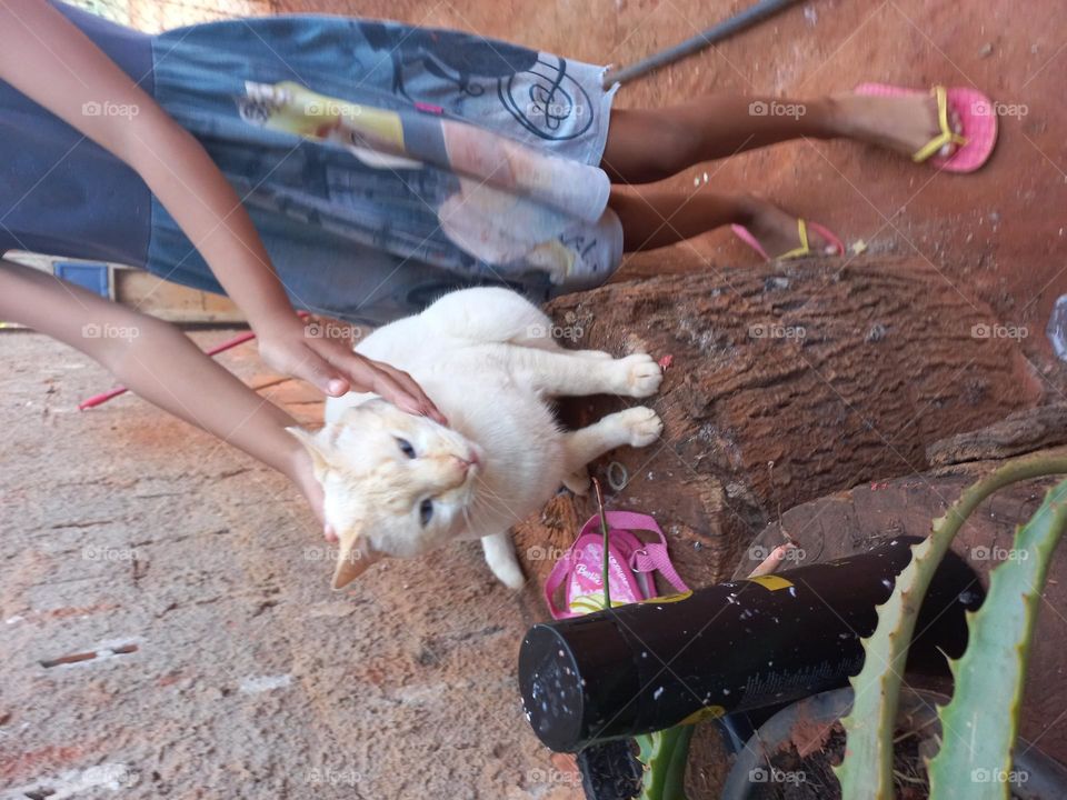 Criança com seu pet de estimação