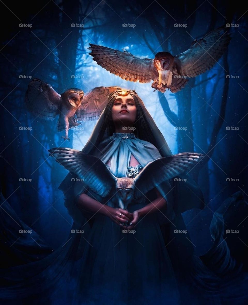 in dark life and owls