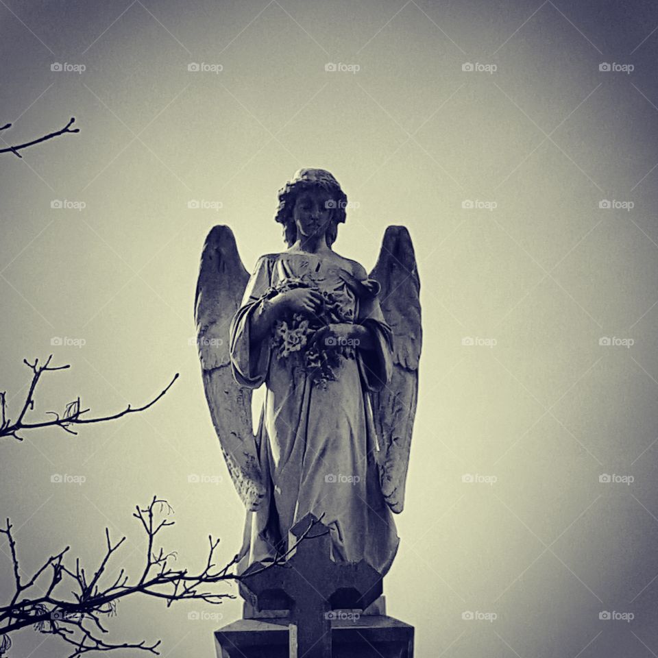 Angels and demons cemetery