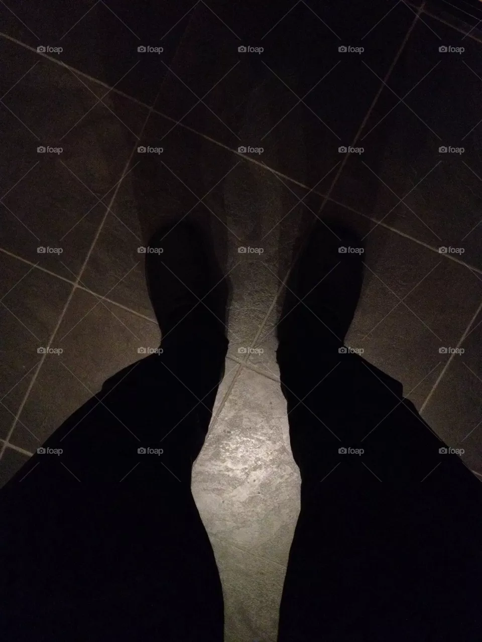 Legs 