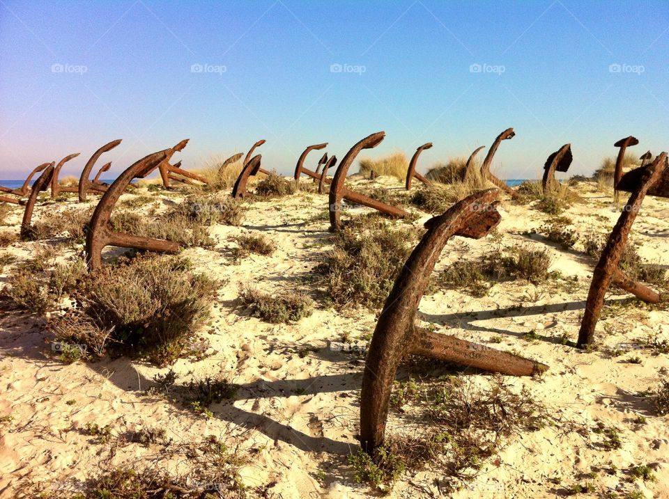 Anchors at the beach