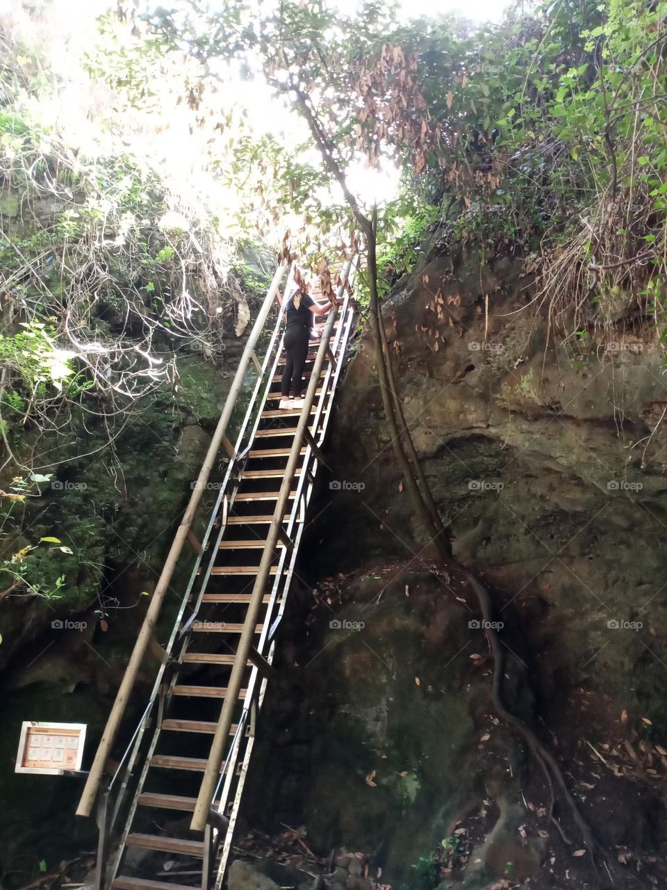 barranco Teror gran canaria