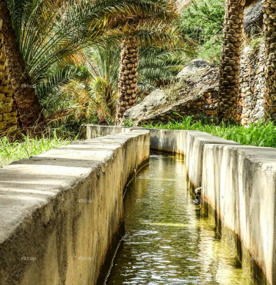 Fresh water passes through the middle of the palms