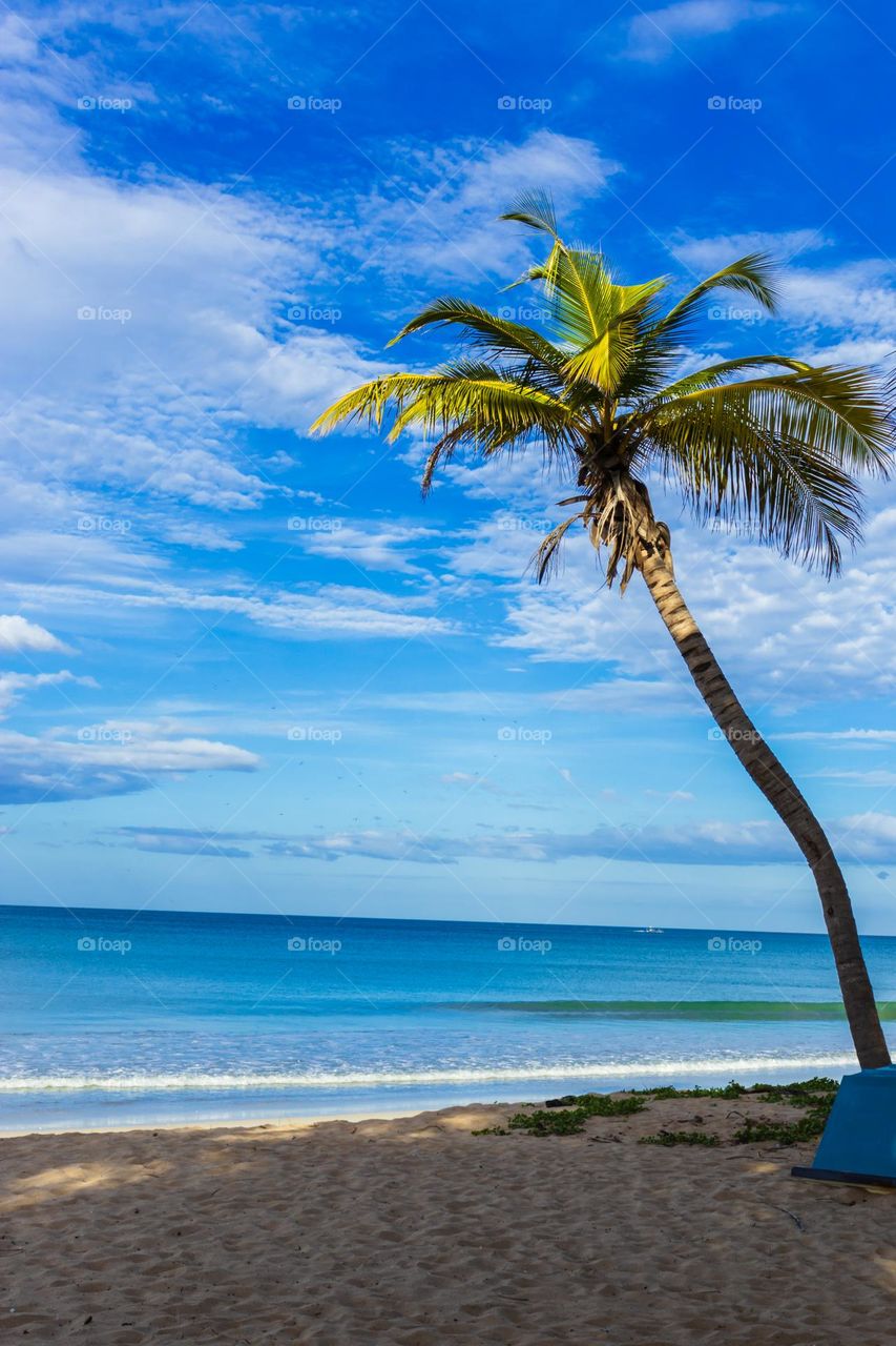 Sun and fun. Perfect weather with sun and sand. Gorgeous sunny,sandy beaches with clean blue water. Favourite times of the year.