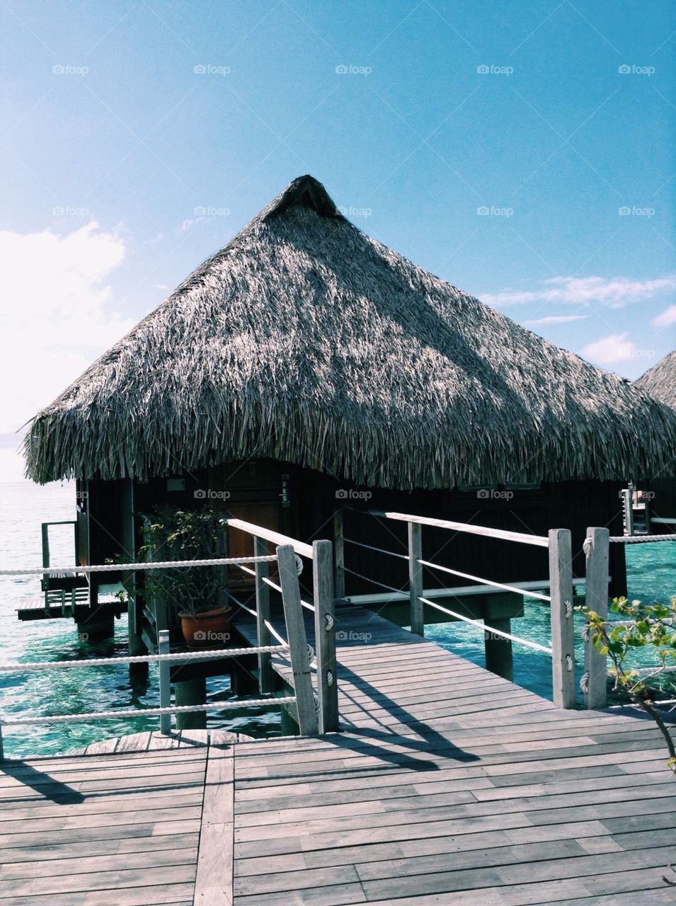 Enjoy The Outside A Little More