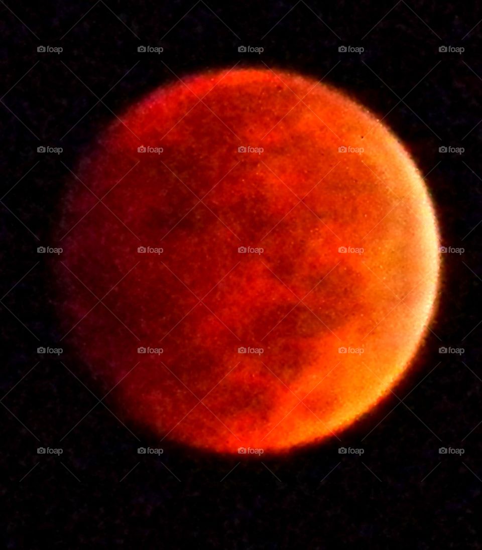 Bloody moon