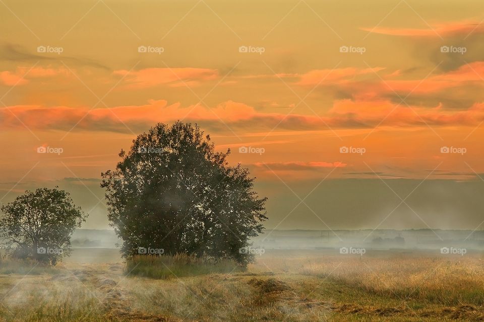 Autumn landscape. Fog on the field. Sunset.
