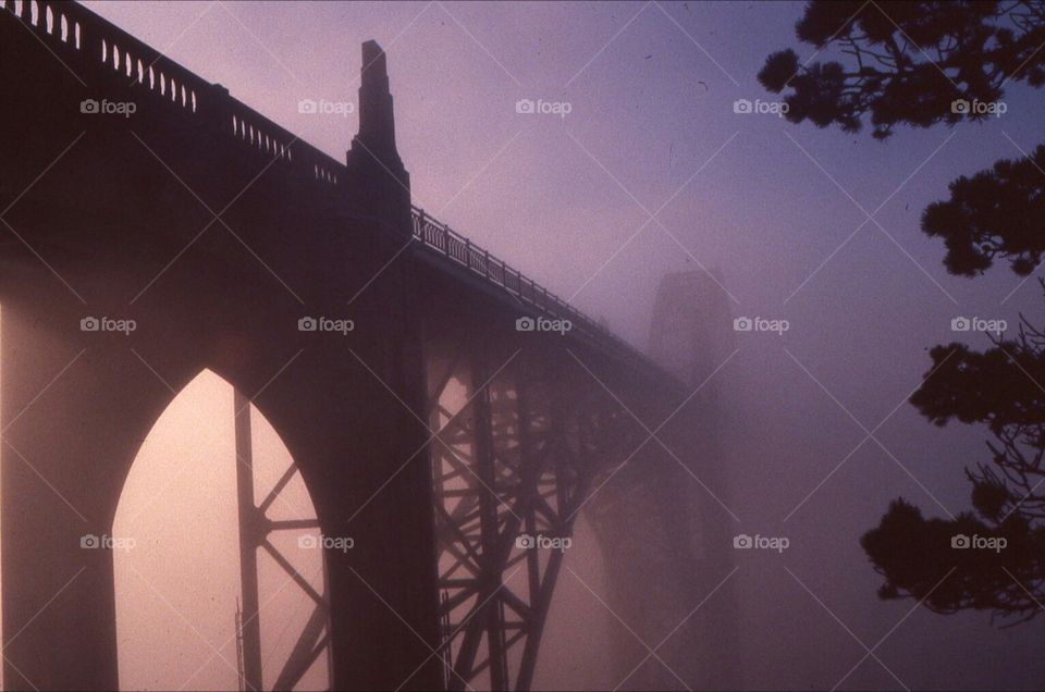 Bridge landscape fog slow silhouette nature