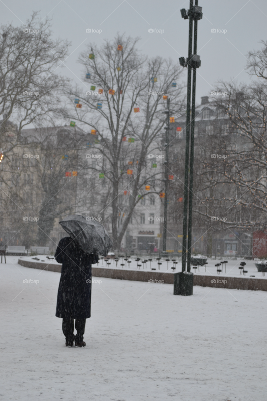 sweden trees malmö sweden snow by christina_p