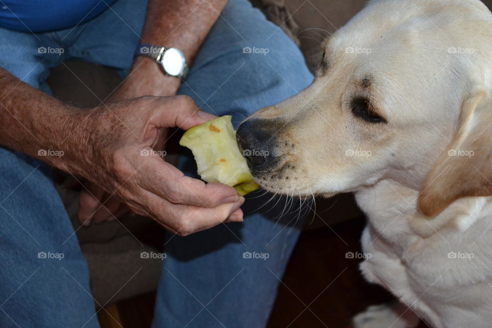 Sharing our apple
