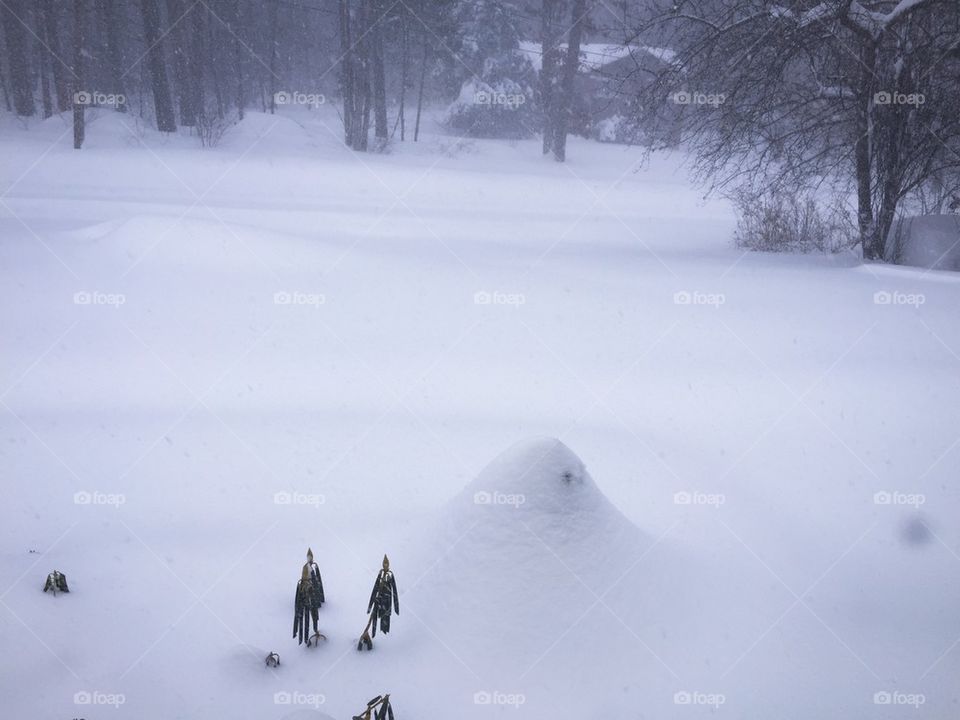Winter wonderland of fresh snowfall