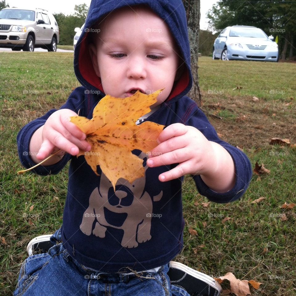 Son in the fall :)