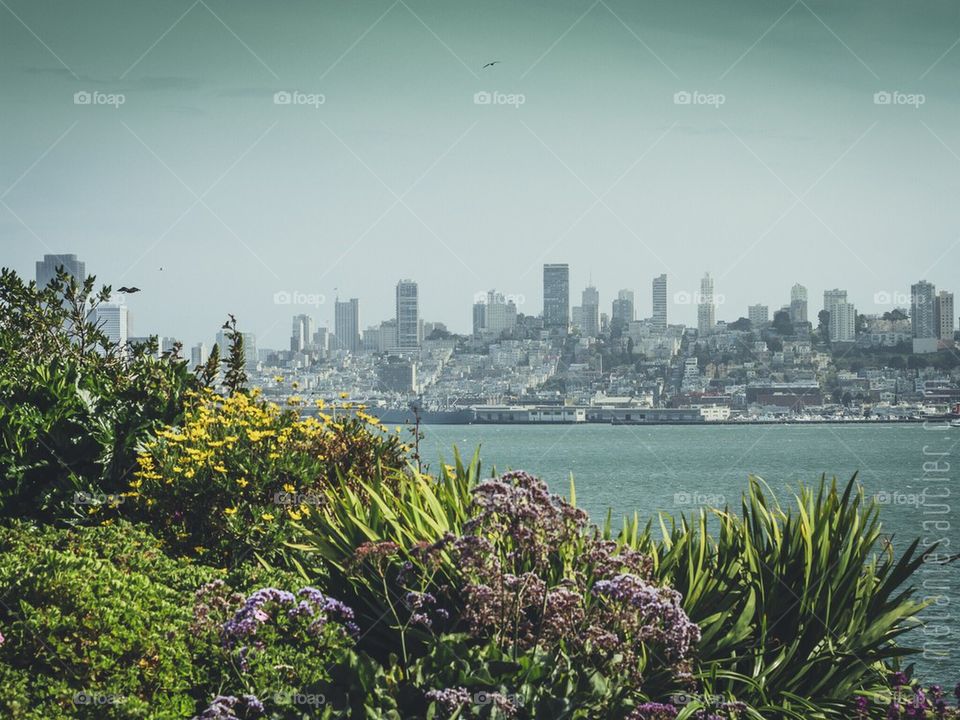 San Francisco from Alcatraz