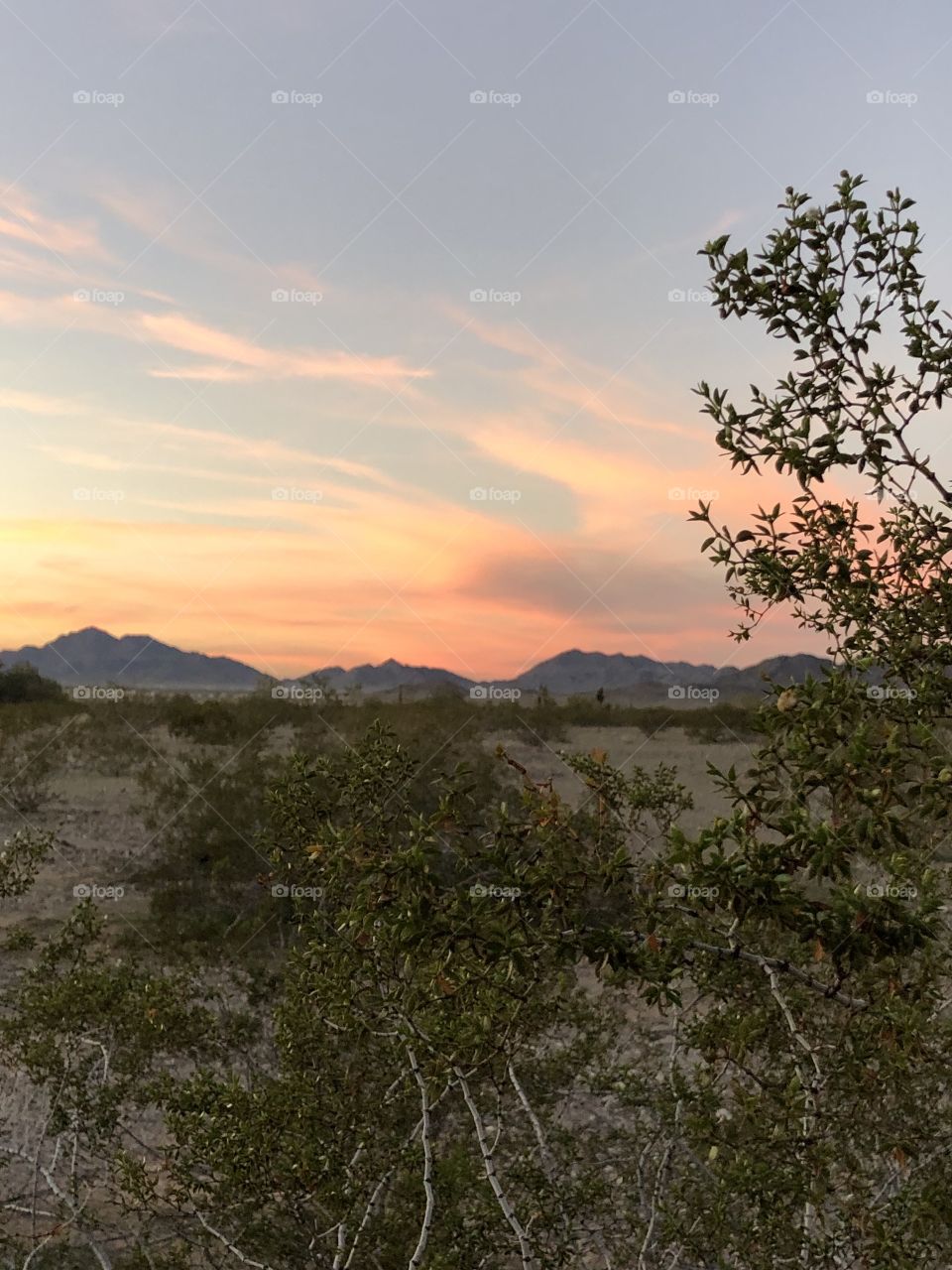 Sunset in the desert