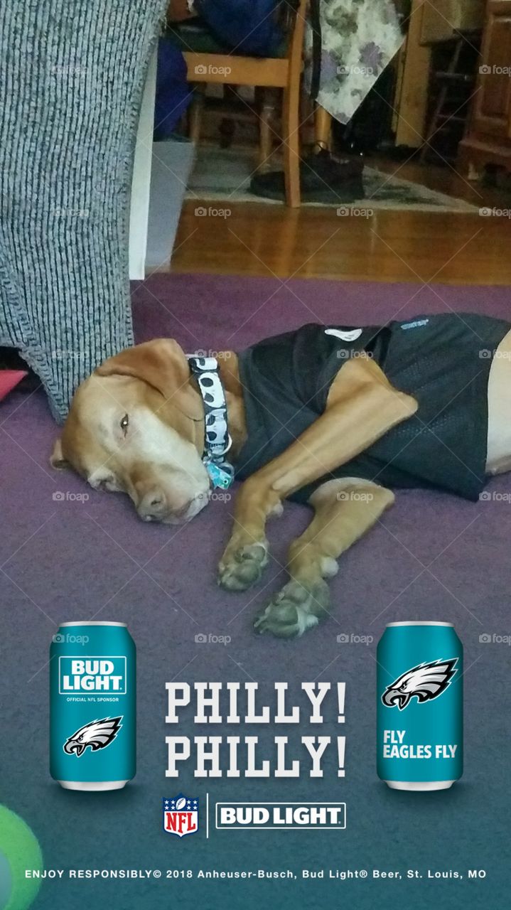 eagles fan by the end of the game!