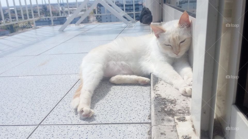 sleeping and getting sun