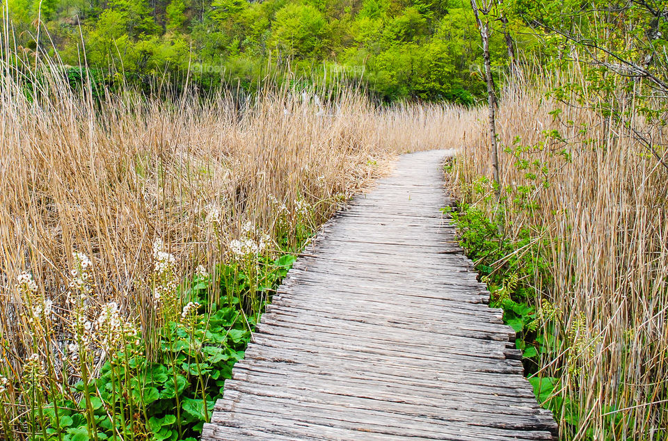 Wooden walkway in nature. Wooden walkway in nature, beautiful landscape 