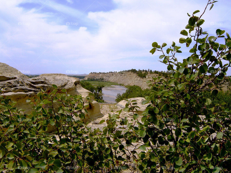 plants trees river rocks by refocusphoto