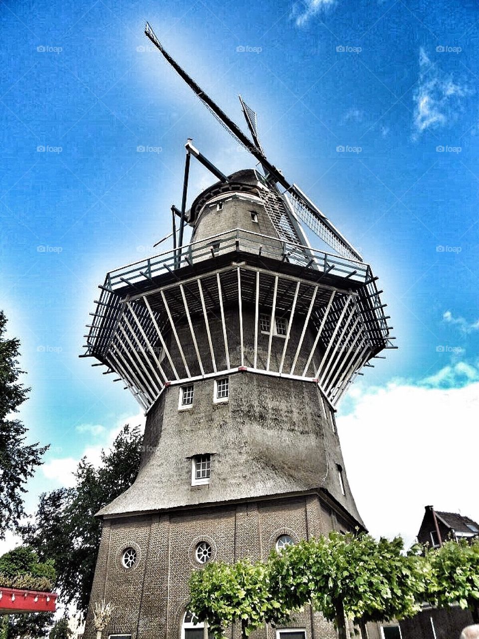 The windmill 