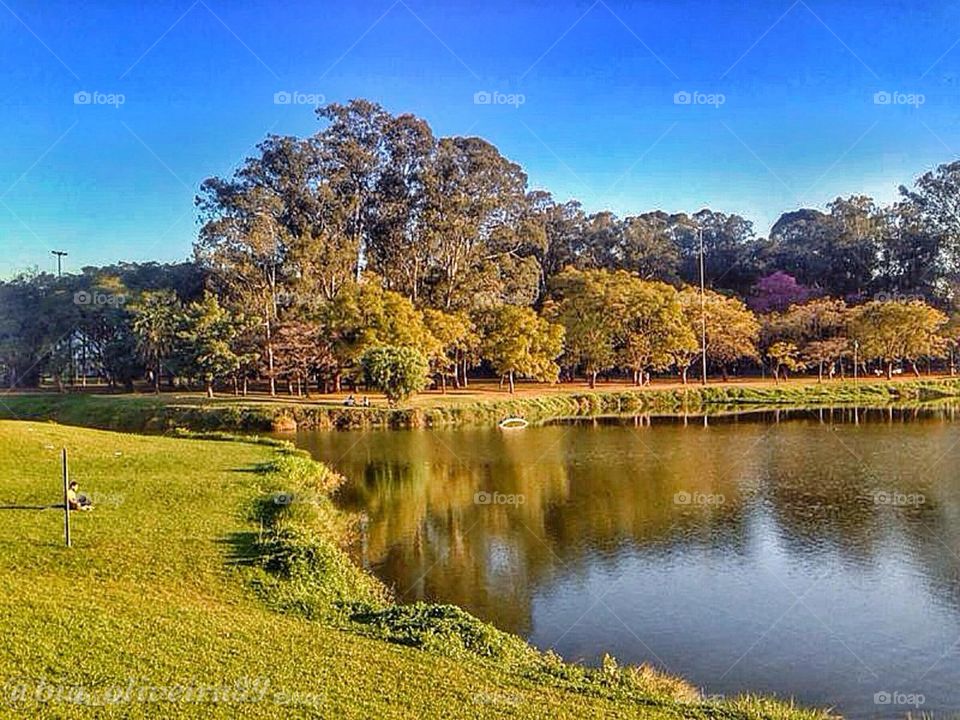 Ibirapuera lake