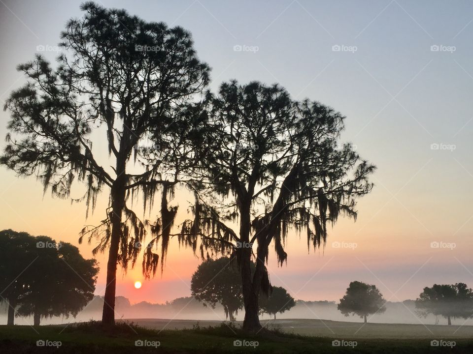 A Foggy early morning sunrise, overlooking a serene golf course.