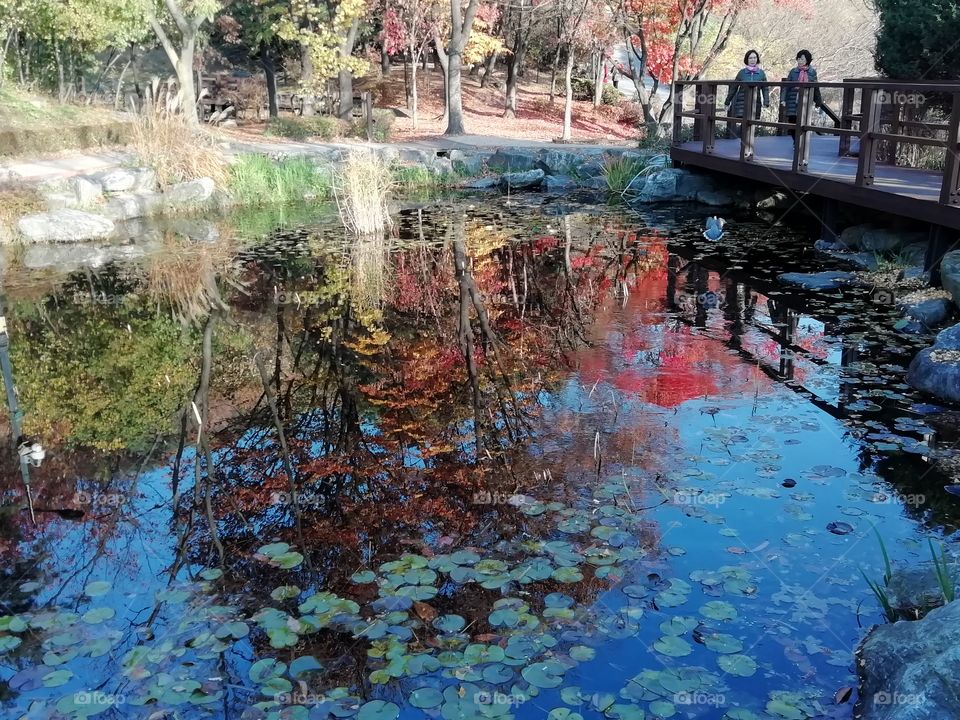 Namsan Park, Seoul