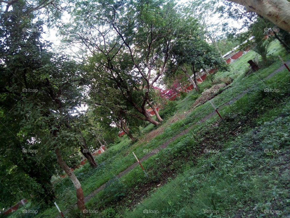 wadali garden amravati