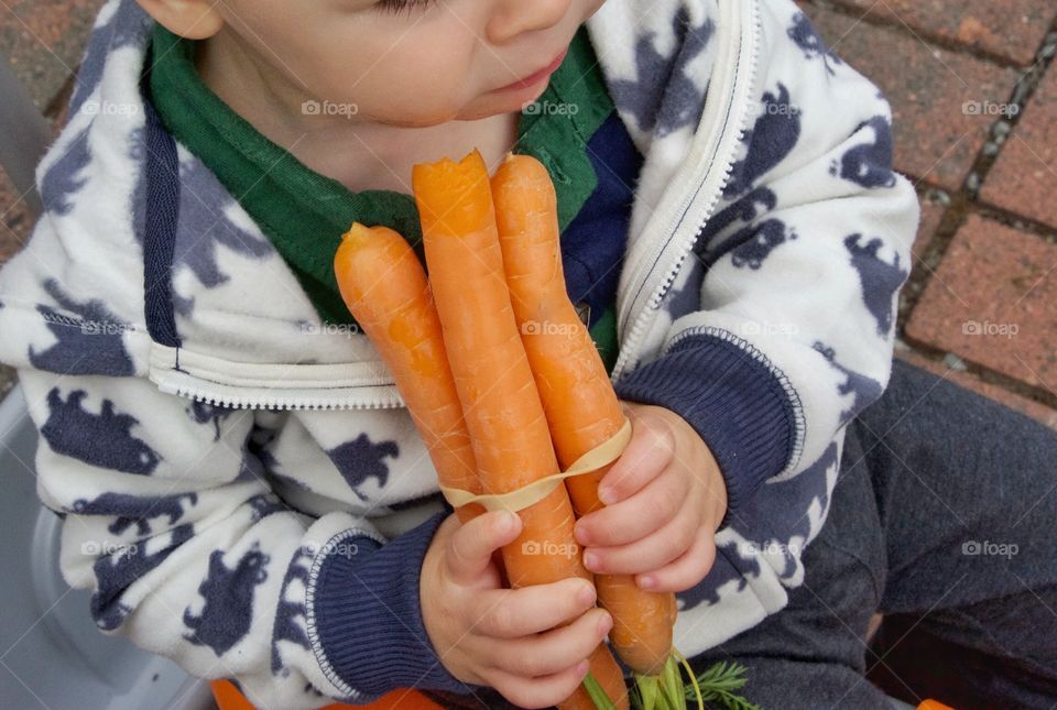 Toddler with a bunch of carrots