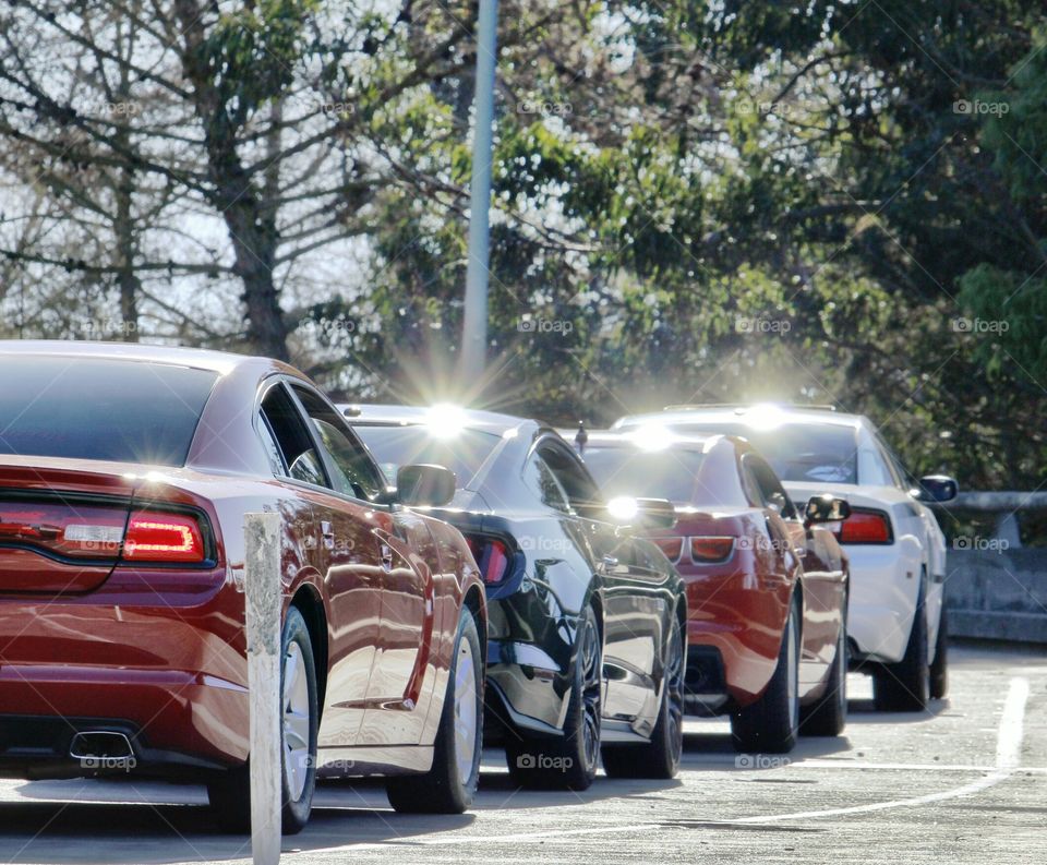 Car, Road, Vehicle, Traffic, Transportation System