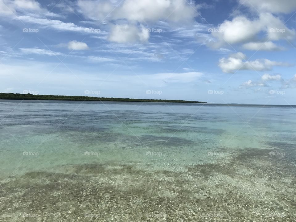 Shallow waters in florida