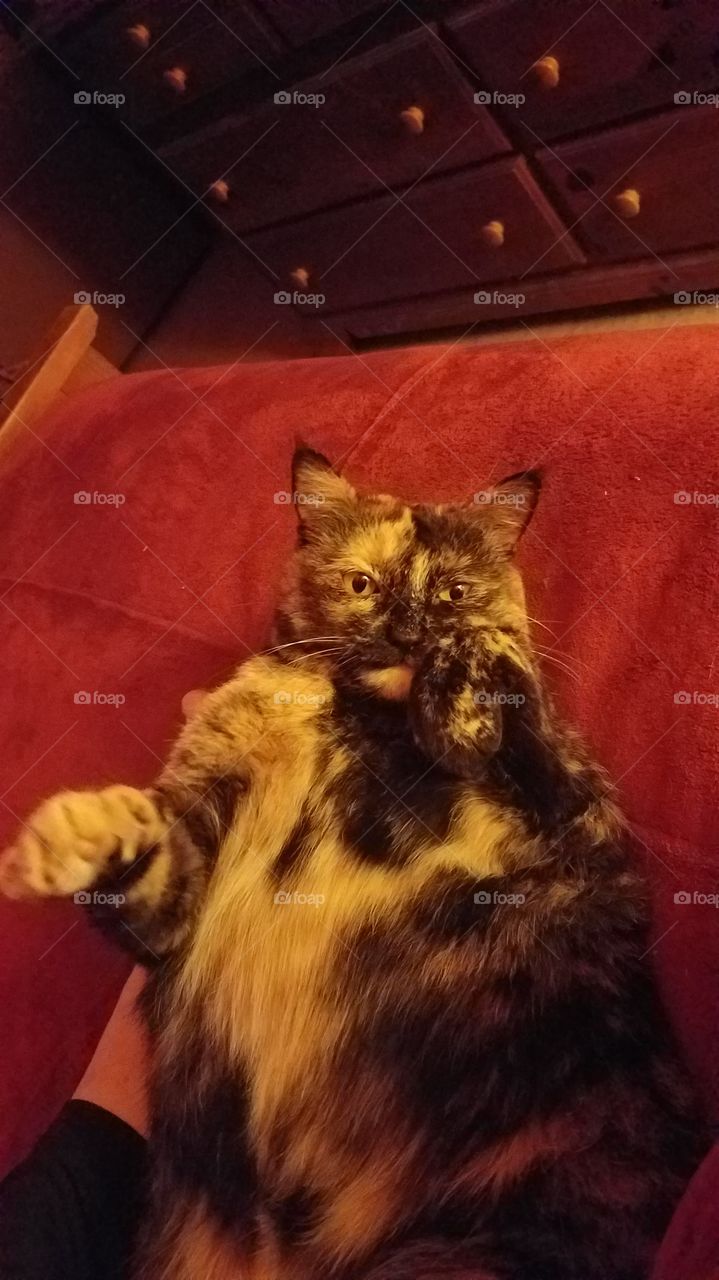 Step one to Relaxing