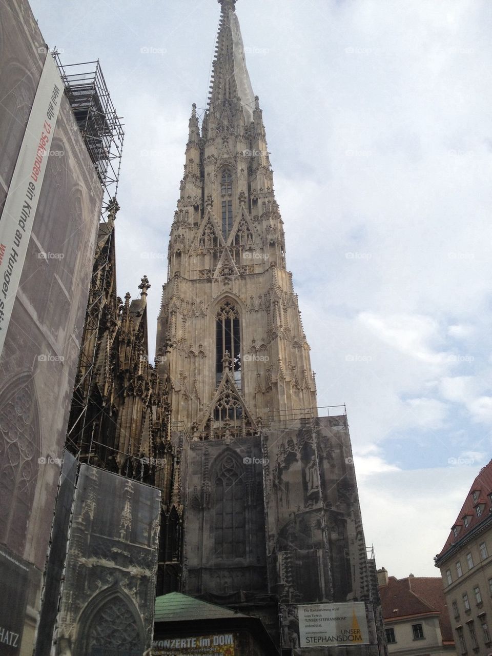 Vienna cathedral