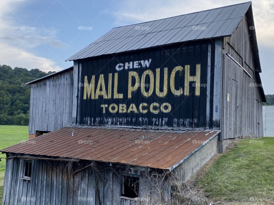 Mail pouch tobacco barn 2 