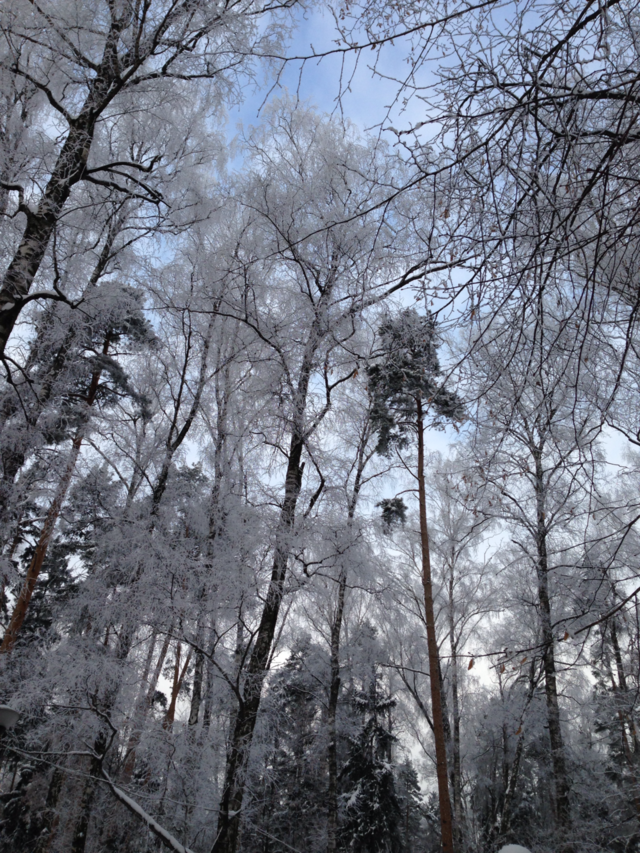 snow winter sky wood by juulli_ya