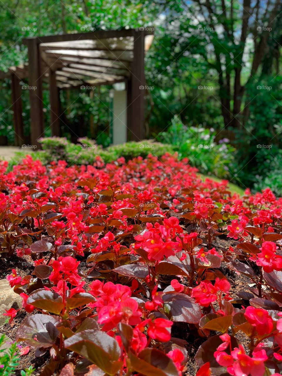 Jardim das sensações em Curitiba- PR, cada planta transmite uma sensação e para apreciar é preciso de paz e silêncio cada sensação transmitida por cada planta! 