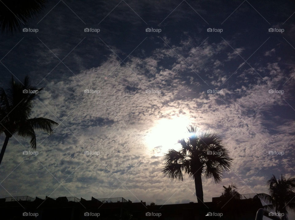 sky tree palm clouds by mwa7368