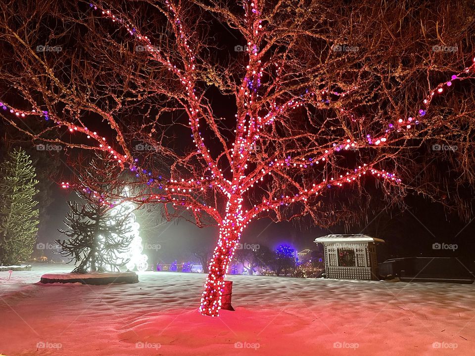 Tree enlightened with red lights