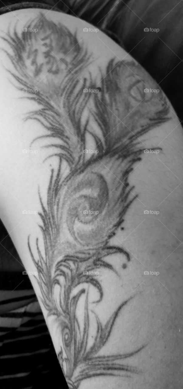 Phoenix Tail feather tattoo detail