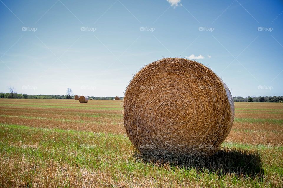 Round stack of hay